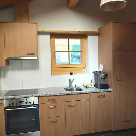 Welzenbach Griwarent Ag Apartment Grindelwald