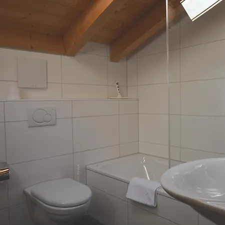 Appartement Welzenbach Griwarent Ag Grindelwald